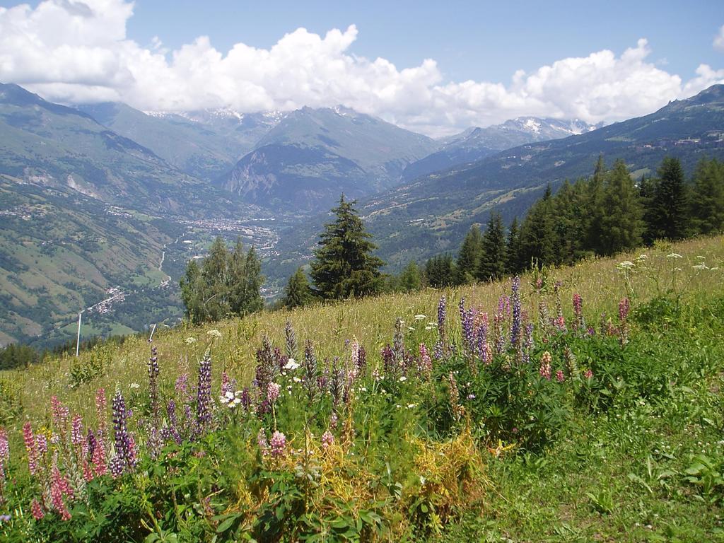 Chalet Les Gentianes La Plagne Exterior photo